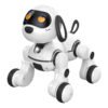 Radio Controlled Robo Dog