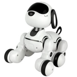 Radio Controlled Robo Dog