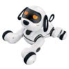 Radio Controlled Robo Dog