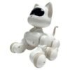Radio Controlled Robo Cat